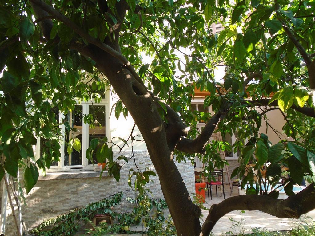 Lotus Garden Hostel İzmir Phòng bức ảnh