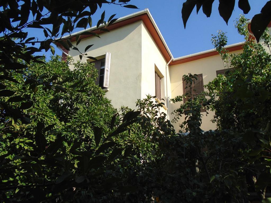 Lotus Garden Hostel İzmir Phòng bức ảnh